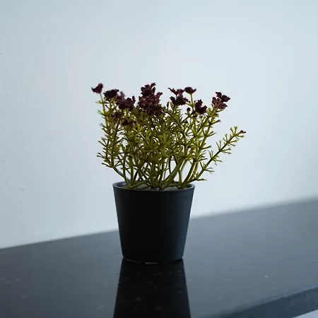 Atelier 아파트 베오그라드