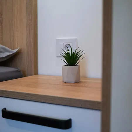 Apartment Atelier